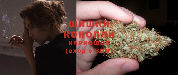 спайс Белокуриха