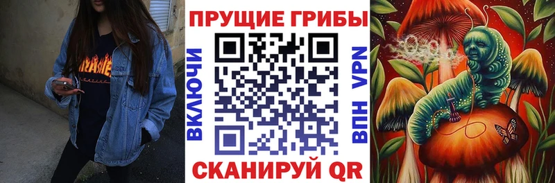 где найти   Коммунар  kraken сайт  Галлюциногенные грибы мицелий 
